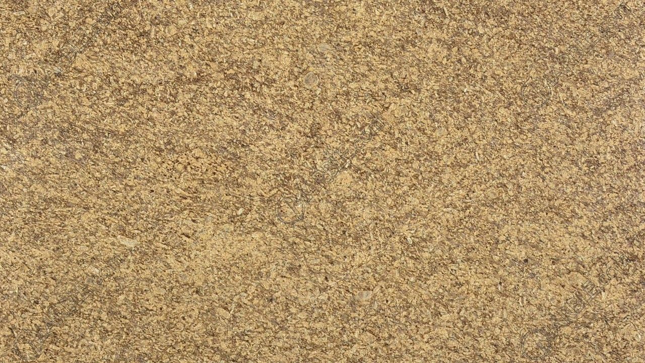 Veneciatus