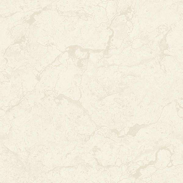 piastrelle ceramica - 600 x 600 mm (24 x 24 pollici) - TWS 09