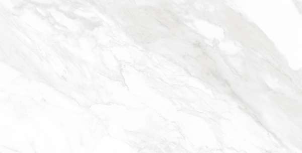 zementfliesen - 600 x 1200 mm (24 x 48 Zoll) - CARRARA BIANCO_01