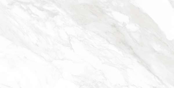 PGVT & GVT - 600 x 1200 mm (24 x 48 inch) - CARRARA BIANCO_01