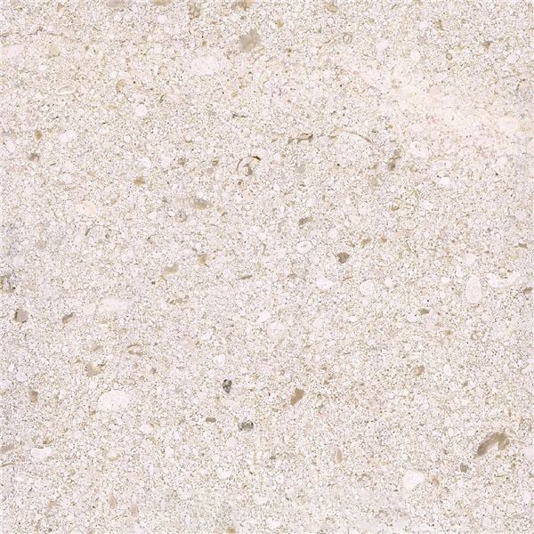 Capri Marine Limestone