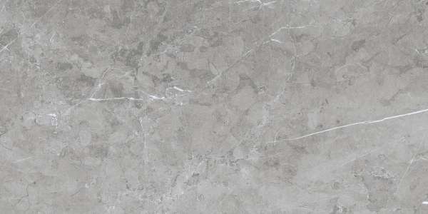 Wall Tiles - 300 x 600 mm ( 12 x 24 inch ) - 24006 DK