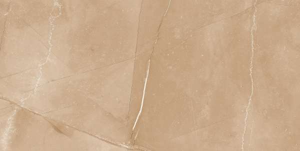 Wall Tiles - 300 x 600 mm ( 12 x 24 inch ) - CAP6054