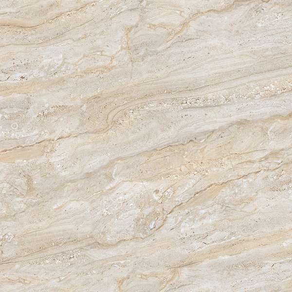 pavimento gres porcellanato - 600 x 600 mm (24 x 24 pollici) - ARIZONA DYNA BROWN_1