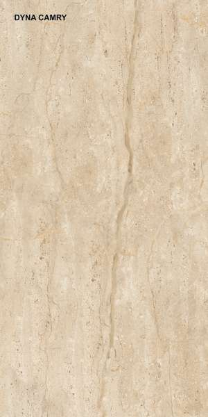 Glazed Porcelain Tiles - 600 x 1200 mm ( 24 x 48 inch ) - DYNA CAMRY P1 