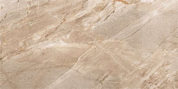 पीजीवीटी और जीवीटी टाइल्स - 600 x 1200 मिमी (24 x 48 इंच) - arctic-brown-1