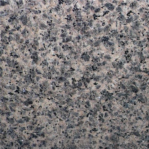 Zhangpu Leopard Skin Granite