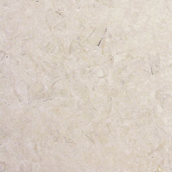 Cambrian Fossil Limestone