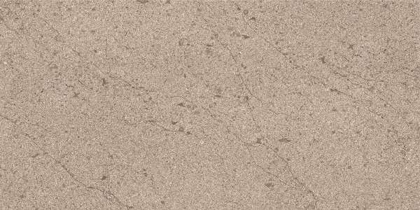 بلاط الباركيه - 600 × 1200 مم (24 × 48 بوصة) - terrain-brown-1