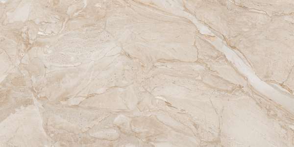 Glazed Porcelain Tiles - 600 x 1200 mm ( 24 x 48 inch ) - DYNA BROWN_01