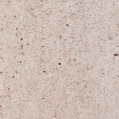 Crema Fosil Limestone