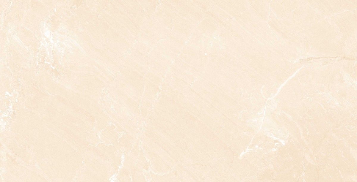 PGVT & GVT - 600 x 1200 mm ( 24 x 48 inci ) - ADS_MARBLE_419_5_R1