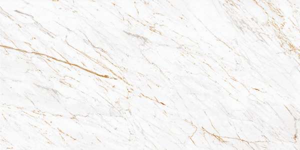 pavimento gres porcellanato - 600 x 1200 mm (24 x 48 pollici) - nero-white-1