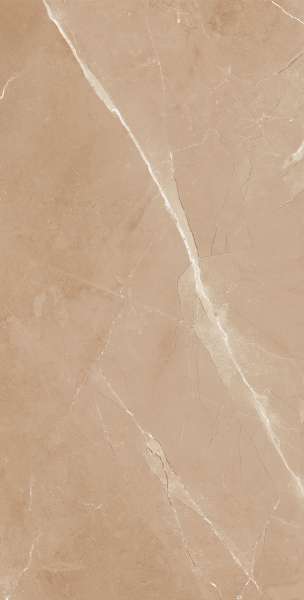 Glazed Porcelain Tiles - 600 x 1200 mm ( 24 x 48 inch ) - ASTON-BROWN_R1