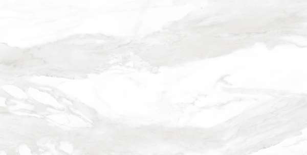 zementfliesen - 600 x 1200 mm (24 x 48 Zoll) - CARRARA BIANCO_01