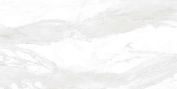 Glazed Porcelain Tiles - 600 x 1200 mm ( 24 x 48 inch ) - CARRARA BIANCO_01