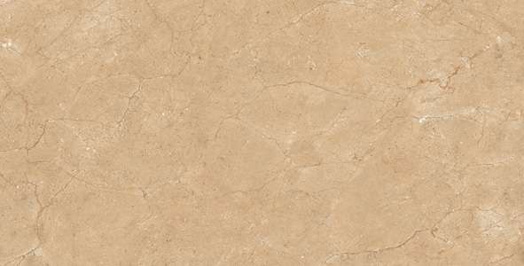 Glazed Porcelain Tiles - 600 x 1200 mm ( 24 x 48 inch ) - AMPRO MARFIL R1