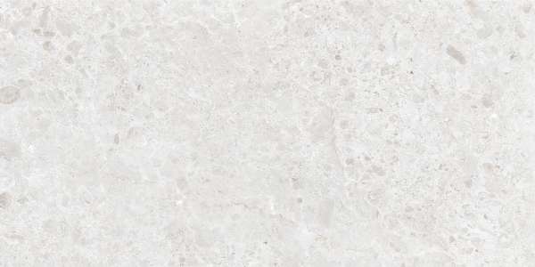 pavimento gres porcellanato - 600 x 1200 mm (24 x 48 pollici) - helios-blanco-1