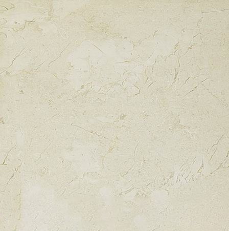 Shelly Beige Limestone