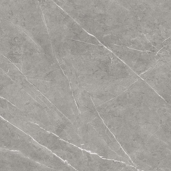 Glazed Porcelain Tiles - 600 x 600 mm ( 24 x 24 inch ) - BLUZY GREY R1