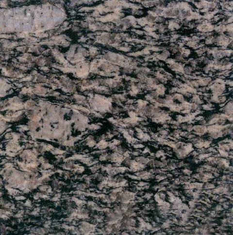 Nummular Brown Grain Granite