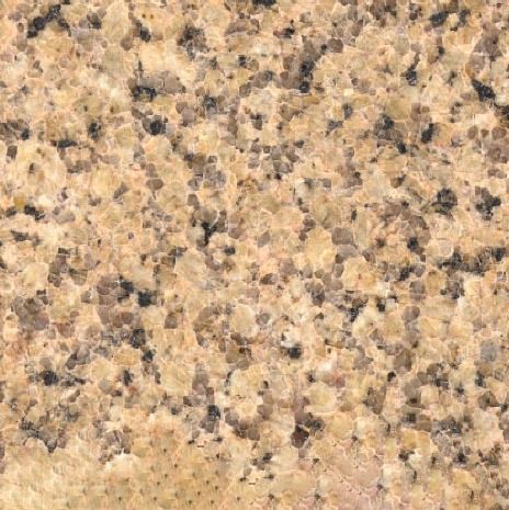 Salvaleon Granite