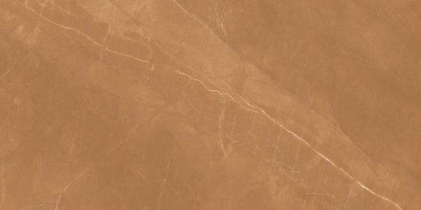 Glazed Porcelain Tiles - 600 x 1200 mm ( 24 x 48 inch ) - ARMANI ARANCIONE