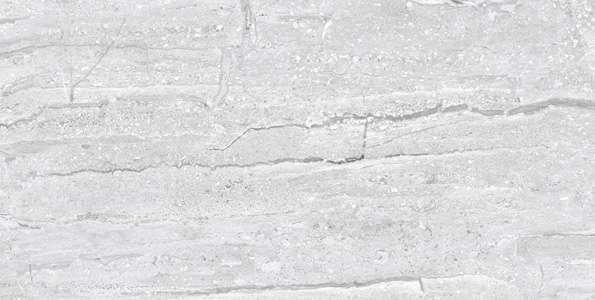 Glazed Porcelain Tiles - 600 x 1200 mm ( 24 x 48 inch ) - SILVER DYNA R1