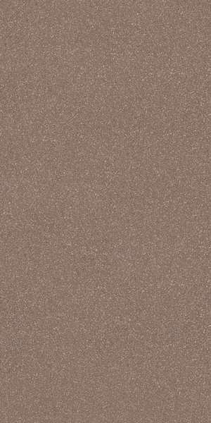 ကိုယ်ထည်အပြည့် Vitrified ကြွေပြားများ - 600 x 1200 mm (24 x 48 လက်မ) - CARAMEL MATT