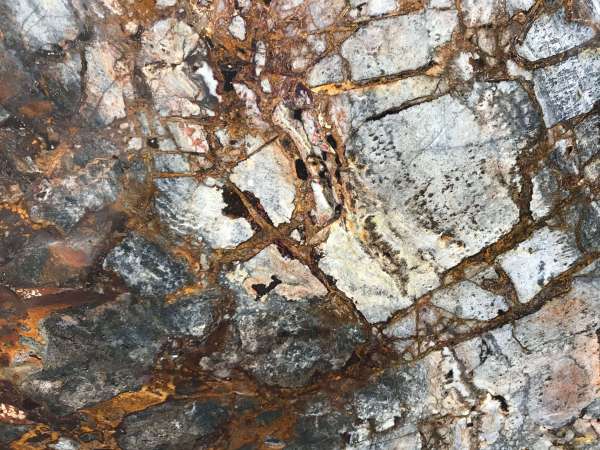 Granite, Stone & Quartz - Any Size - arizona forest marble