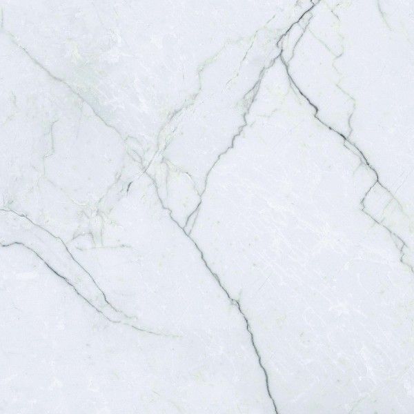 piastrelle gres porcellanato - 600 x 600 mm (24 x 24 pollici) - SEGESTA SILVER