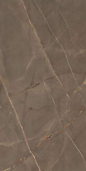 Glazed Porcelain Tiles - 600 x 1200 mm ( 24 x 48 inch ) - SUPREME-BROWN_R1