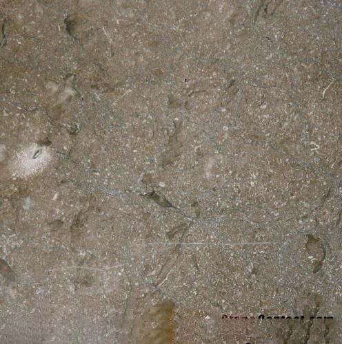 Chestnut Brown Marble