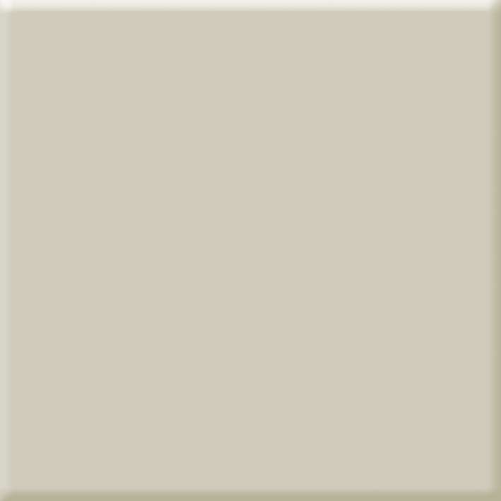 Wall Tiles - 300 x 300 mm ( 12 x 12 inch ) - TAN-110-DG