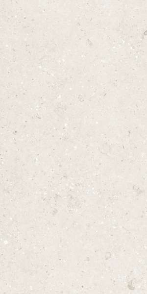 Glazed Porcelain Tiles - 600 x 1200 mm ( 24 x 48 inch ) - WILLIAM CREMA (1)