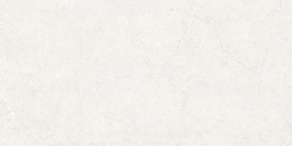 Wall Tiles - 300 x 600 mm ( 12 x 24 inch ) - 24064 LT