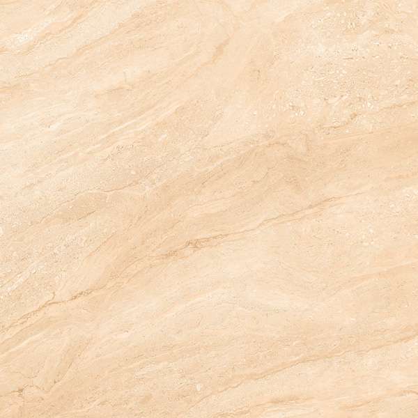 Glazed Porcelain Tiles - 600 x 600 mm ( 24 x 24 inch ) - CP 5019 R1