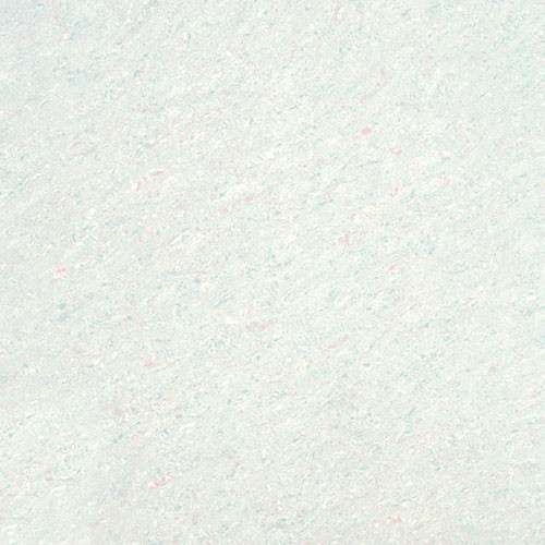 Vitrified Tiles - 600 x 600 mm ( 24 x 24 inch ) - TROPIC MINT