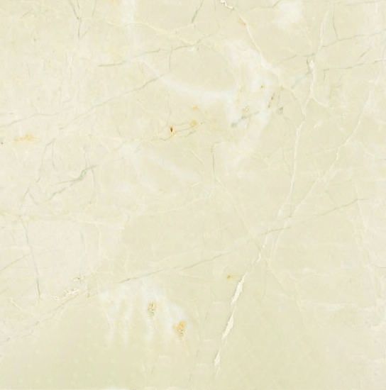 Fossil Cream Marble