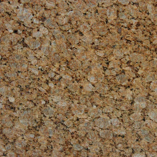 Butterfly Gold Granite countertop