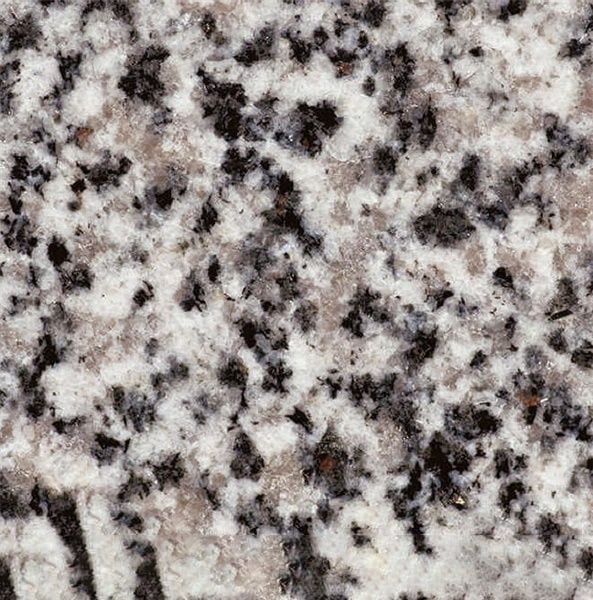 Bianco Dalmata Granite