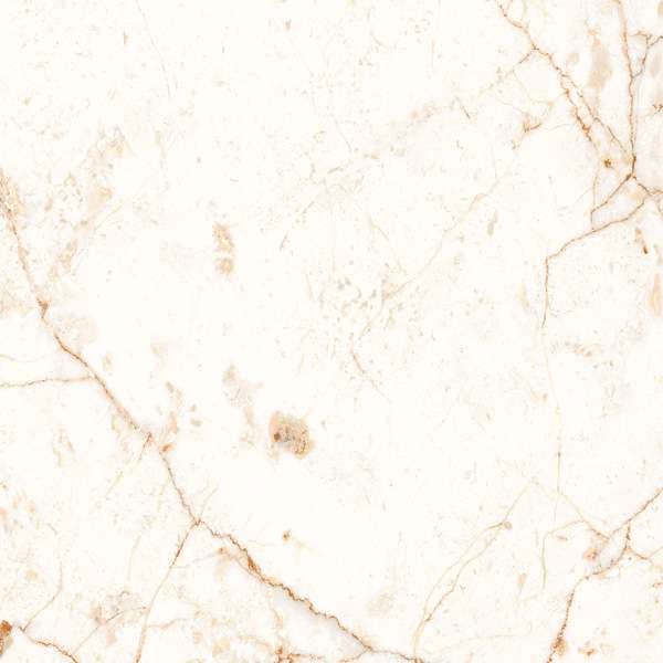 Glazed Porcelain Tiles - 600 x 600 mm ( 24 x 24 inch ) - ROSSA BIANCO R1