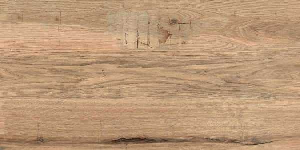 PGVT & GVT - 600 x 1200 mm ( 24 x 48 inci ) - TREE WOOD