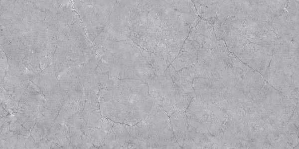 Wall Tiles - 300 x 600 mm ( 12 x 24 inch ) - 24023 D