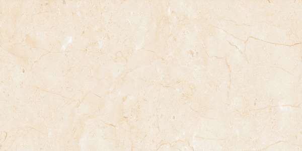 carrelage porcelanosa - 600 x 1200 mm ( 24 x 48 pouces ) - svpl-6030-1