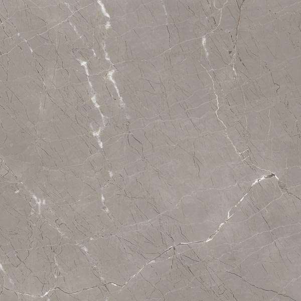 بلاط الباركيه - 600 × 600 مم (24 × 24 بوصة) - ELECTO GREY R1