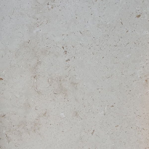 Shell Beige Limestone