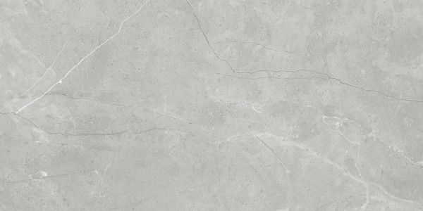 pavimento gres porcellanato - 600 x 1200 mm (24 x 48 pollici) - Pulpis grey