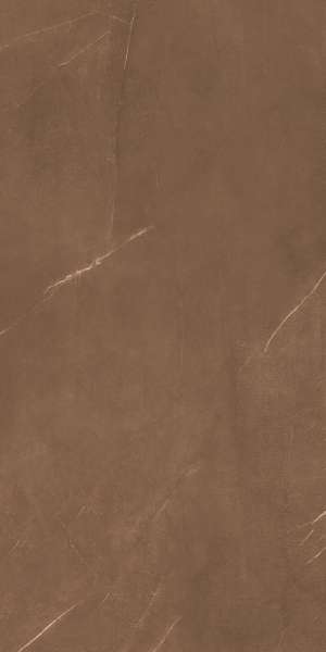 tiling porcelain stoneware - 800 x 1600 mm (32 x 64 pouces) - ESPANIA MOCHA-F1