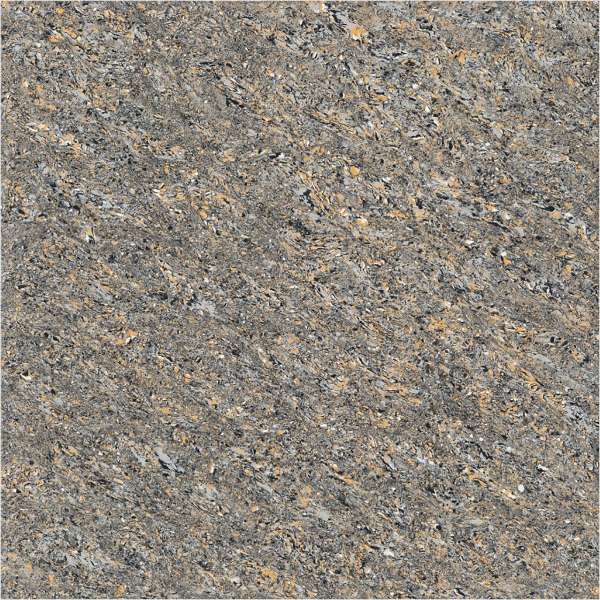 Kothak Vitrified Diisi kaping pindho - 600 x 600 mm ( 24 x 24 inci ) - GALAXY TIGER ( D )